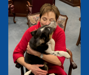 Dog Days at Town Hall